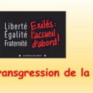 Solidarité et transgression de la loi