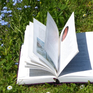 Lectures d'été