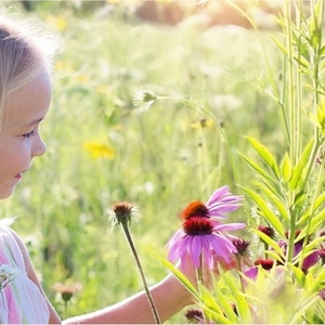 Exposition : Le monde comme jardin