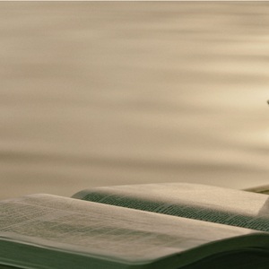 Lire la Bible ensemble