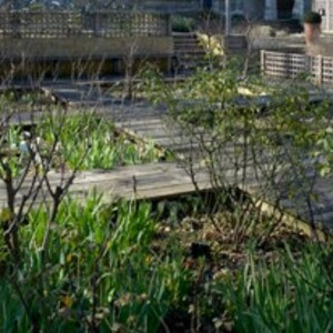 Le jardin médiéval