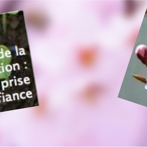 Le temps dans sa dimension "écologique"