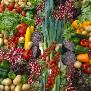Aide alimentaire offerte aux étudiant|e|s