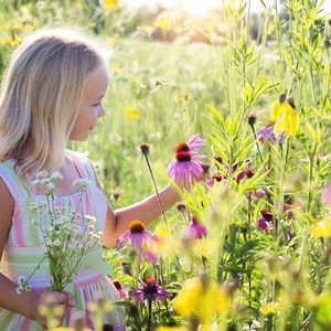 Chemins de foi : la gratitude
