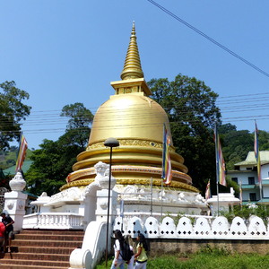 Café culturel : Le Sri Lanka,  perle de l'Océan Indien
