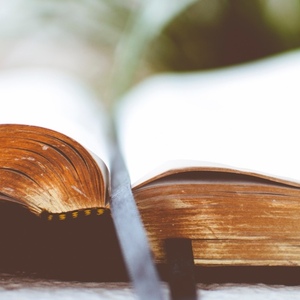 Chemins de foi : Comment lisons-nous la Bible ?