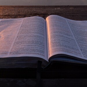 Rencontres bibliques oecuméniques de Chevry
