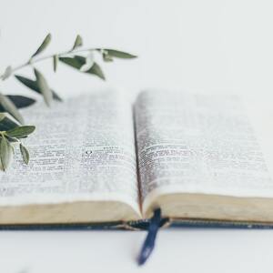Parcours biblique à Palaiseau