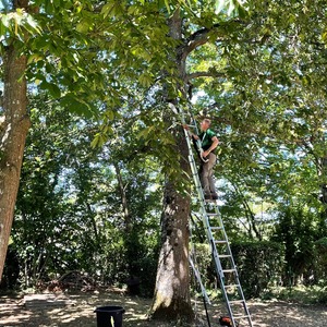 Deux journées jardinage et petits travaux