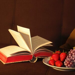 Les études bibliques en janvier 2024