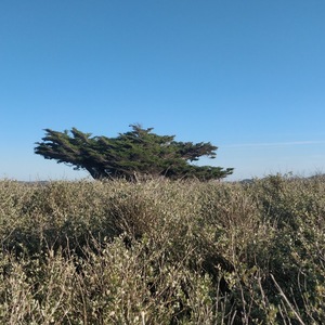 À l’abri de rien. Et c’est tant mieux