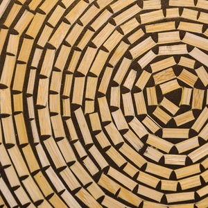 Expo photos "Le bois sous toutes ses formes"